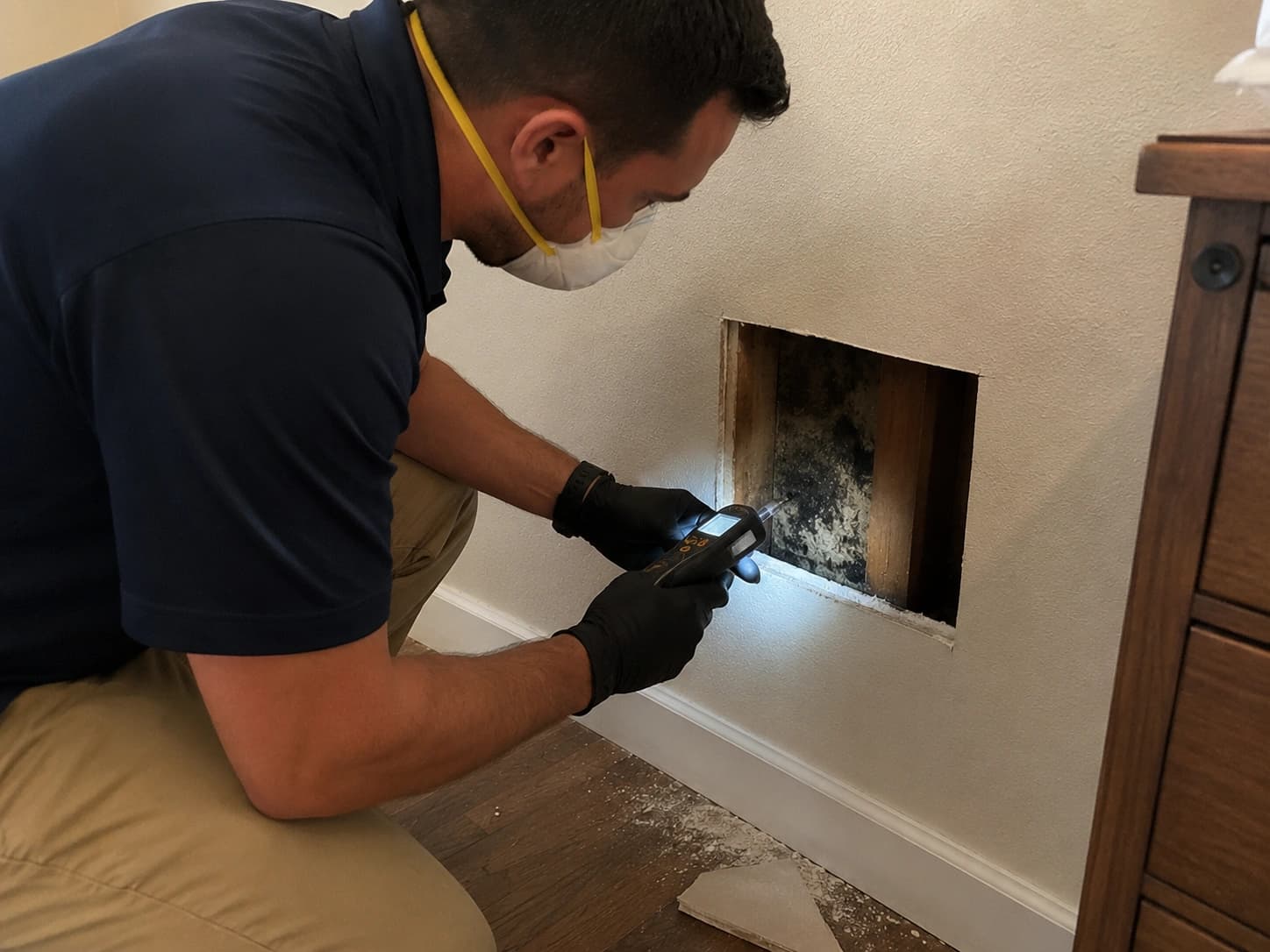 Containment setup for dark mold cleanup in Santa Rosa